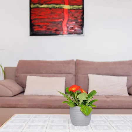 Apartment Casa La Mare -